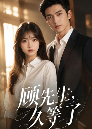 顾先生，久等了（50集）在线观看完整版