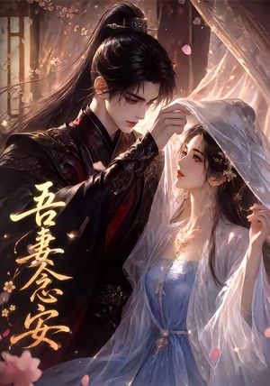 吾妻念安（24集）全集都在这里了