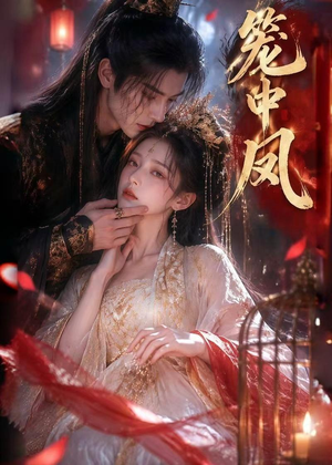 笼中凤（44集）在哪个app能看