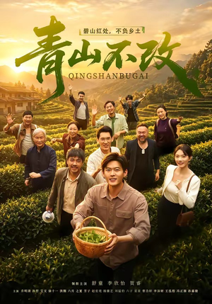 青山不改（71集）解说文案