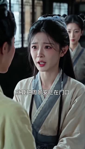 双影芳华（60集）短剧看全集
