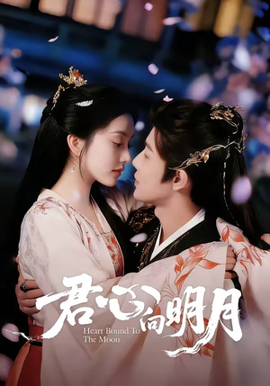君心向明月(60集) 君心向明月(60集)全集免费