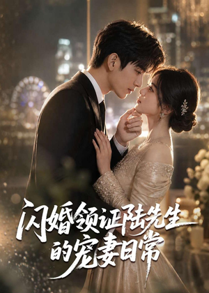 闪婚领证陆先生的宠妻日常（72集）好看短剧抢先看