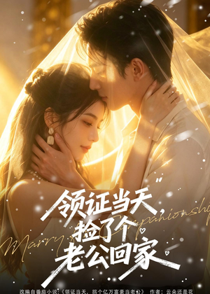 领证当天，捡了个老公回家（80集）独家短剧免费看