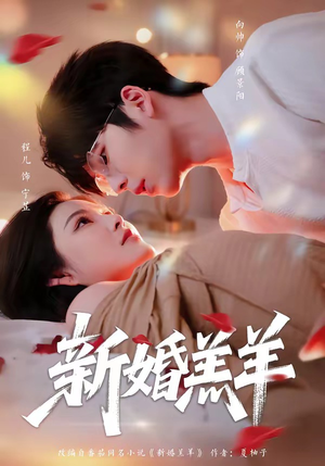 新婚羔羊（89集）精彩短剧来袭