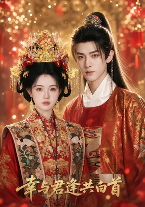 幸与君逢共白首（79集）在哪看