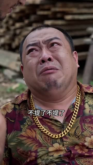 木匠铺藏潜龙(33集) 木匠铺藏潜龙(33集)剧情简介