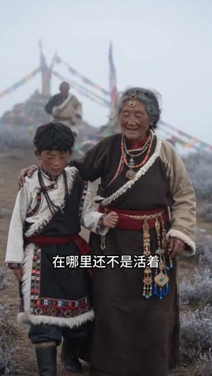 藏寨熊影（43集）热门短剧排行榜