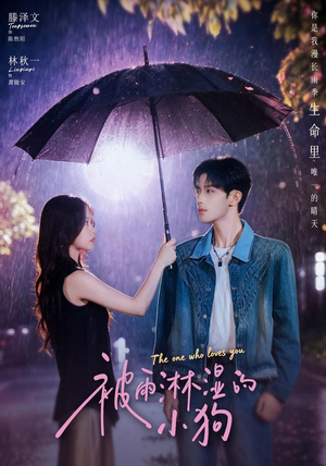 被雨淋湿的小狗（80集）短剧