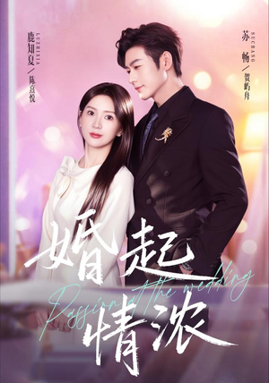 婚起情浓(99集) 婚起情浓(99集)短剧全集免费看