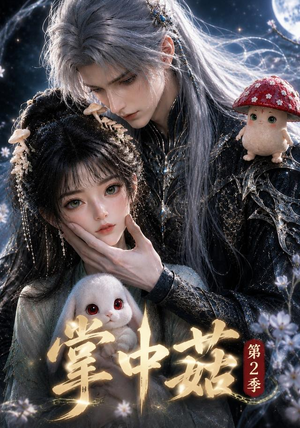 掌中菇第2季（31集）免费看全集
