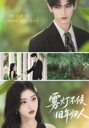 雾灯不候旧年归人（50集）怎么看全集