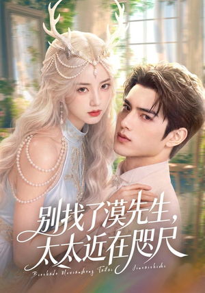 别找了漠先生，太太近在咫尺（72集）360网盘观看
