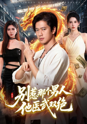 别惹那个男人，他医武双绝（109集）热播古装短剧