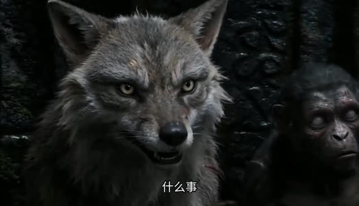 残龙出世，万龙称祖（39集）好看到停不下来