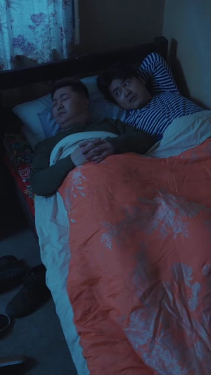 东北老舅（100集）在线免费观影