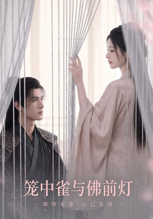 笼中雀与佛前灯（68集）高分佳作免费看