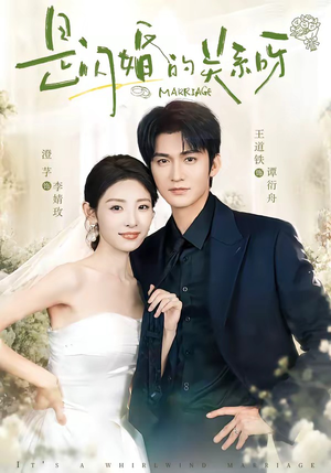 是闪婚的关系呀(63集) 是闪婚的关系呀(63集)好看短剧推荐