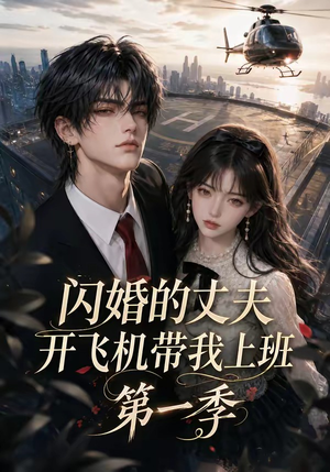 闪婚的丈夫开飞机带我上班第一季（91集）短剧片段分享