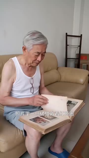 流浪的人生(30集) 流浪的人生(30集)短剧在线看