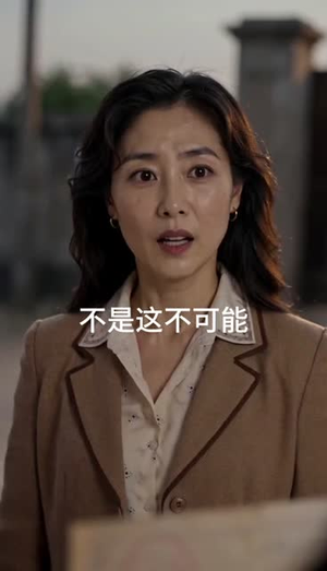 一禾寄北（100集）直接看到大结局