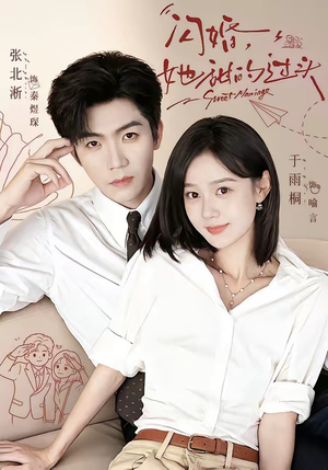 闪婚，她甜的过头（78集）热播短剧全集看