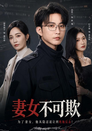 妻女不可欺(61集) 妻女不可欺(61集)免费观看完整版
