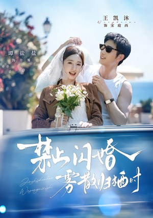 禁止闪婚，雾散归栖时（66集）短剧分享剧集