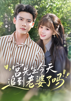 宫先生今天追到老婆了吗（73集）短剧热门合集