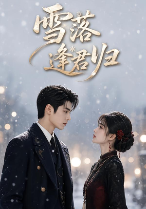 雪落逢君归(116集) 雪落逢君归(116集)精彩好看短剧