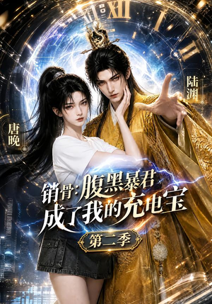 销骨：腹黑暴君成了我的充电宝第二季（142集）在线免费观影