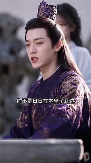 千古第三阳谋4（312集）全集在线看