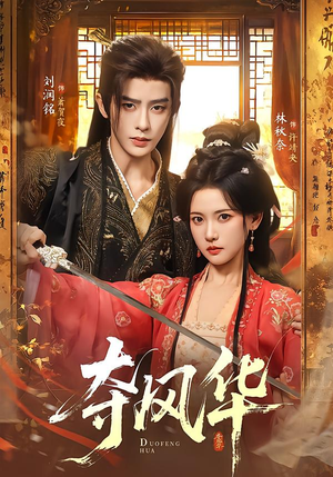 夺风华（78集）经典老剧免费看
