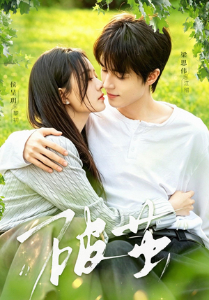 破茧（76集）火爆短剧抢先看