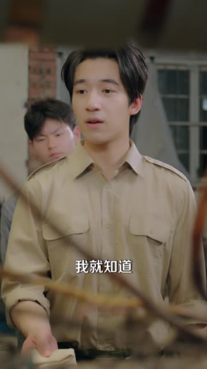 织梦芳华（41集）热门短剧追不停