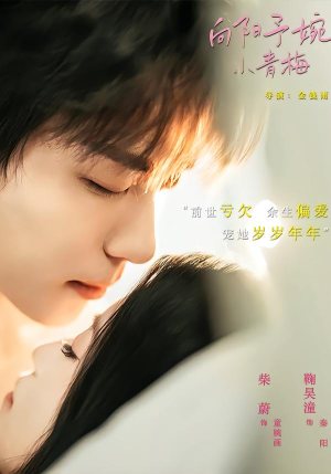 向阳予婉小青梅（72集）全集免费观看