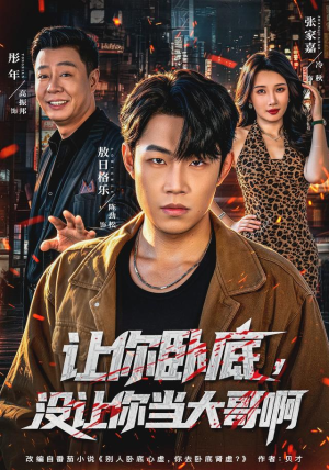 让你卧底，没让你当大哥啊（80 集）精彩短剧合集