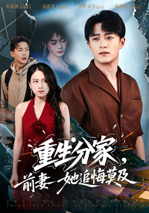 重生分家，前妻她追悔莫及（74 集）真的好看吗