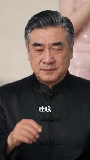 散尽星光只为你（84集）百度在线观看
