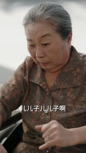 风雨寿宴，向阳重生（41 集）免费看短剧