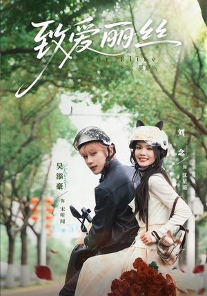 致爱丽丝（63 集）全集一次看完